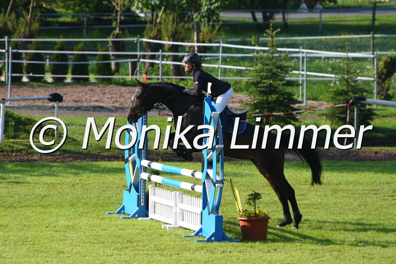 005M3850_Luzie_Springpferde A.JPG